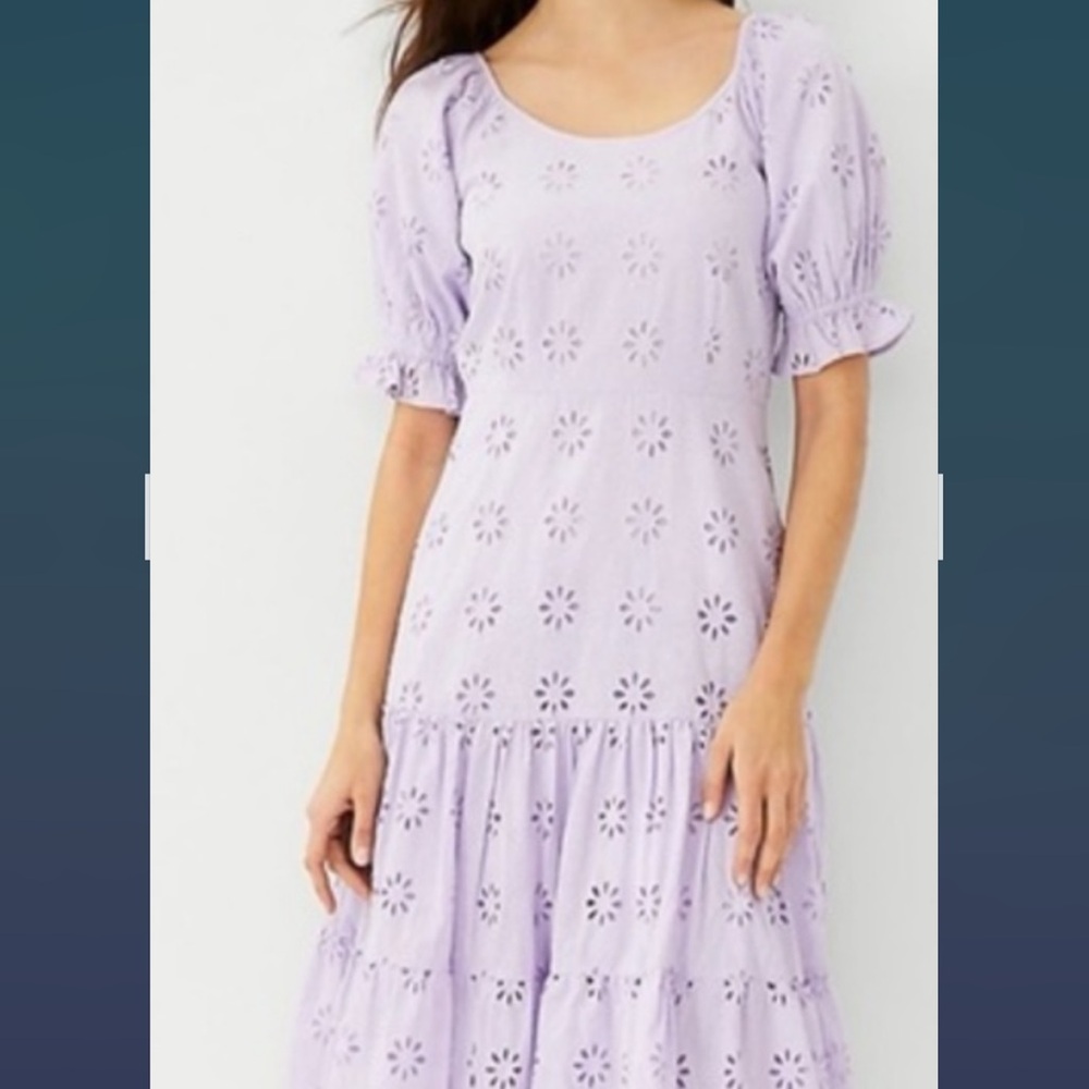 Ann Taylor Lilac Eyelet Midi Dress